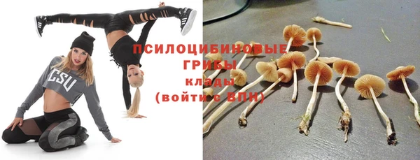 СК Волоколамск