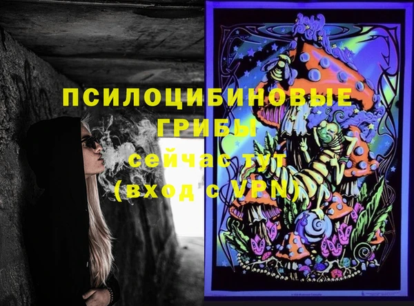 a pvp Володарск